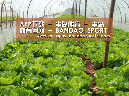 种植基地五