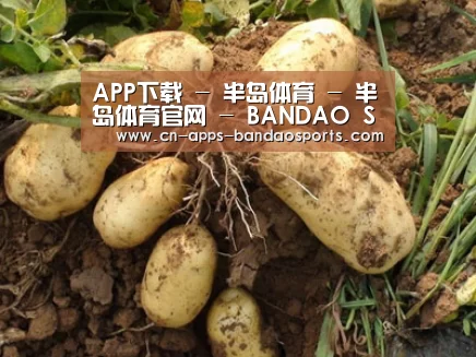 种植基地六