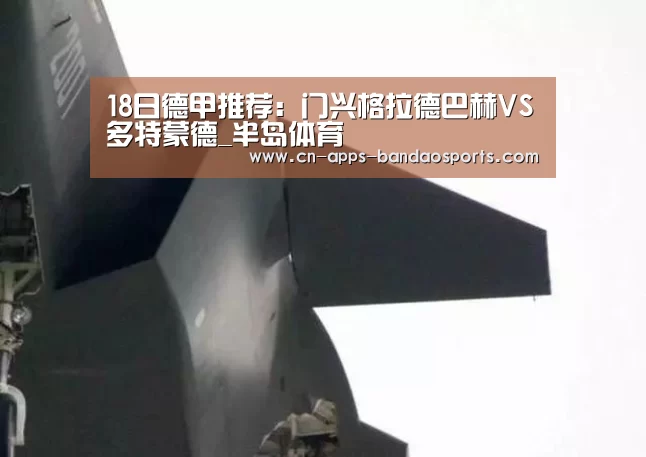 半岛体育APP