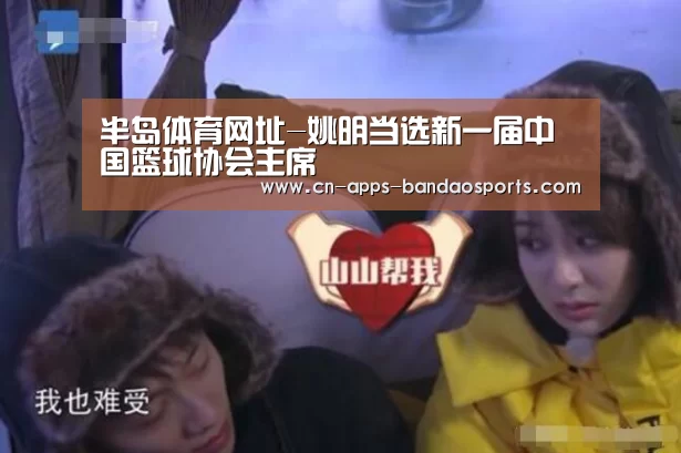 半岛体育官网